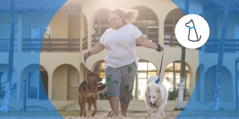 Bens Para Animais De Estimação Conjunto De ícones Impressão Do