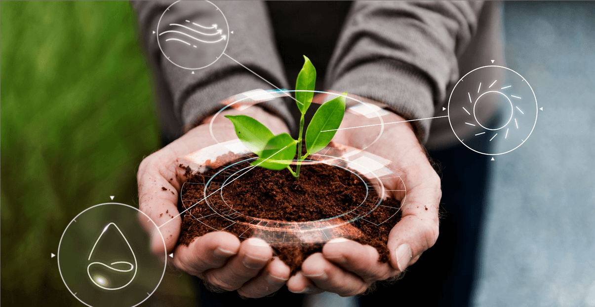 Pessoa com as mãos abertas segurando um pequeno broto verde em um vaso de terra, com ícones holográficos de água, sol e monitoramento ao redor, em conceito de sustentabilidade e plantio.